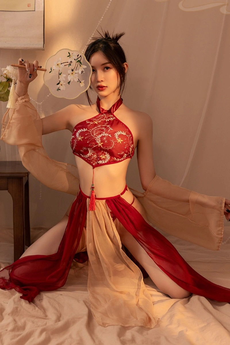 Alt Text: Model wearing sexy retro costume dress with red embroidery and gold sheer fabric