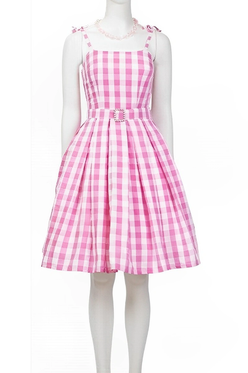 Front view of Pink Gingham School Girl Costume with belted waist and pleated gingham skirt.